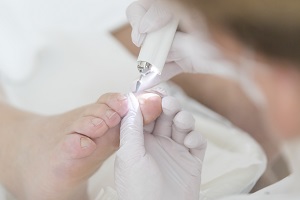 DSC2509 Credit Adrian KuipersFrezen