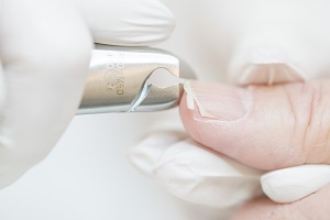 DSC2924 Credit Adrian Kuipers